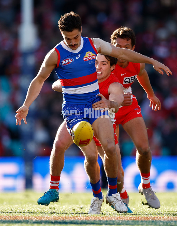 AFL 2024 Round 20 - Sydney v Western Bulldogs - A-52231422