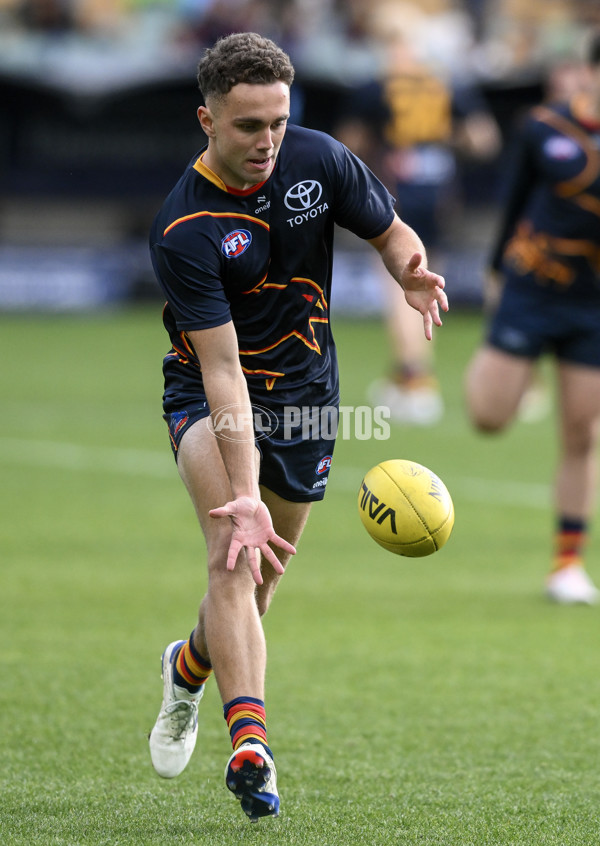 AFL 2024 Round 20 - Adelaide v Hawthorn - A-52231425