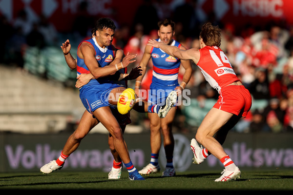 AFL 2024 Round 20 - Sydney v Western Bulldogs - A-52233466