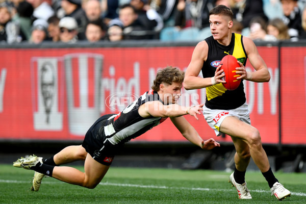 AFL 2024 Round 20 - Collingwood v Richmond - A-52233487