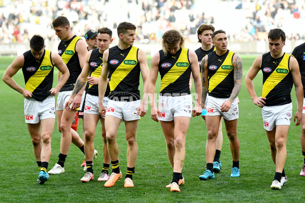 AFL 2024 Round 20 - Collingwood v Richmond - A-52233780