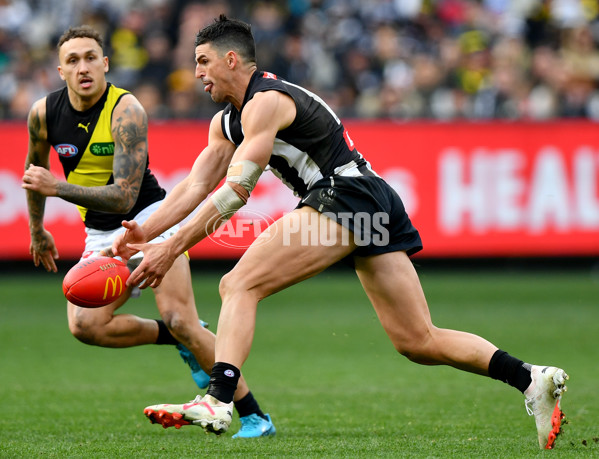 AFL 2024 Round 20 - Collingwood v Richmond - A-52233786
