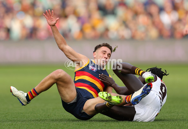 AFL 2024 Round 20 - Adelaide v Hawthorn - A-52233804