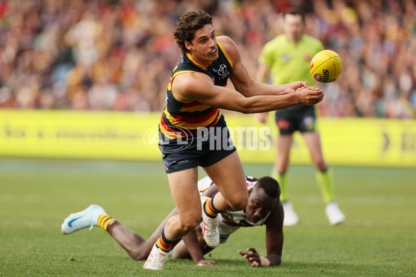 AFL 2024 Round 20 - Adelaide v Hawthorn - A-52236023