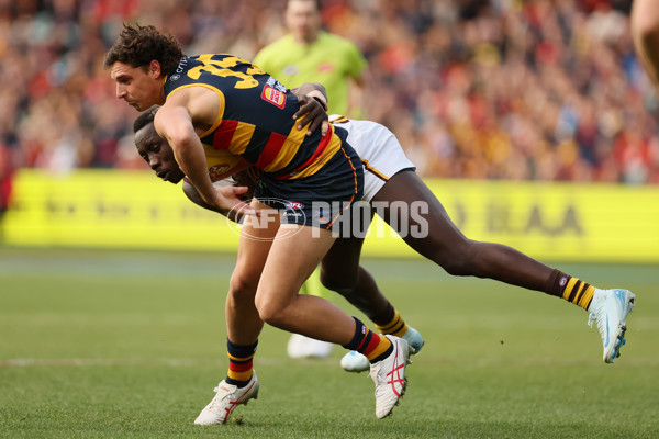 AFL 2024 Round 20 - Adelaide v Hawthorn - A-52236025