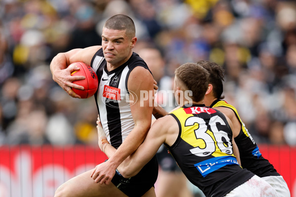 AFL 2024 Round 20 - Collingwood v Richmond - A-52236103