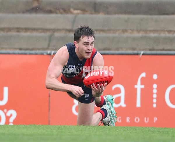 VFL 2024 Round 18 - Coburg v Frankston - A-52238415