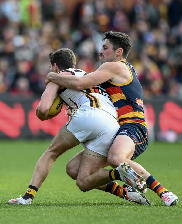 AFL 2024 Round 20 - Adelaide v Hawthorn - A-52238416