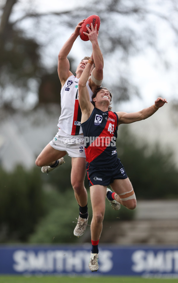 VFL 2024 Round 18 - Coburg v Frankston - A-52238418