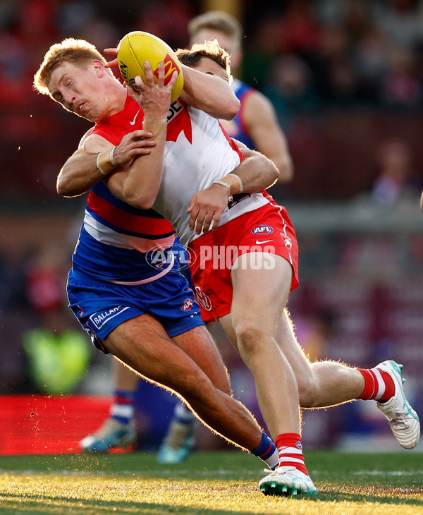 AFL 2024 Round 20 - Sydney v Western Bulldogs - A-52238462