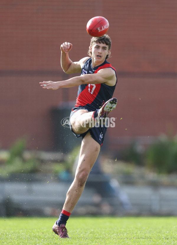 VFL 2024 Round 18 - Coburg v Frankston - A-52238481