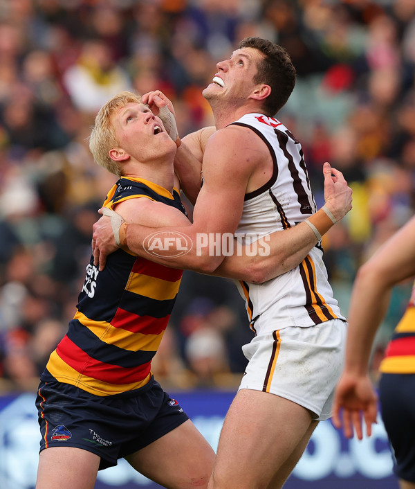 AFL 2024 Round 20 - Adelaide v Hawthorn - A-52238501