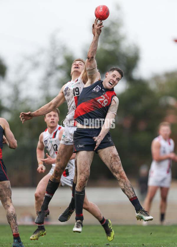 VFL 2024 Round 18 - Coburg v Frankston - A-52238506