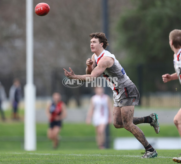 VFL 2024 Round 18 - Coburg v Frankston - A-52238509