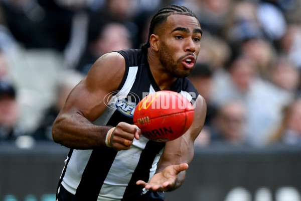 AFL 2024 Round 20 - Collingwood v Richmond - A-52238510