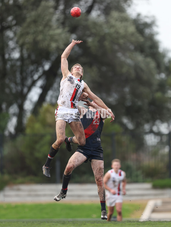 VFL 2024 Round 18 - Coburg v Frankston - A-52238511