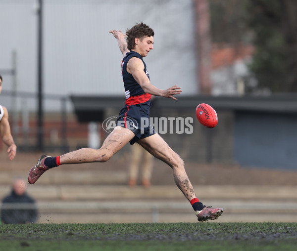 VFL 2024 Round 18 - Coburg v Frankston - A-52238512