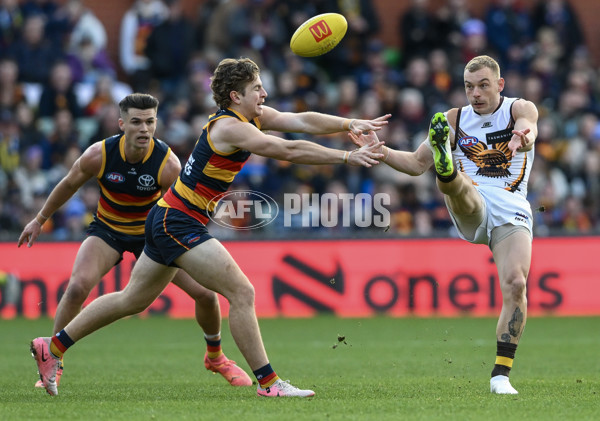 AFL 2024 Round 20 - Adelaide v Hawthorn - A-52238924