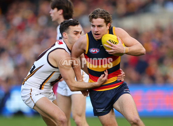 AFL 2024 Round 20 - Adelaide v Hawthorn - A-52238926