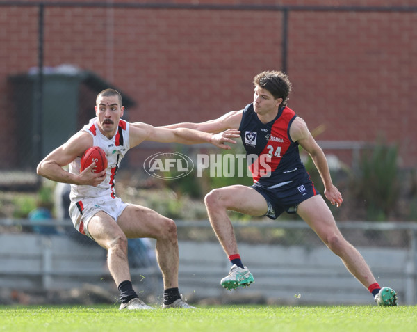 VFL 2024 Round 18 - Coburg v Frankston - A-52238955