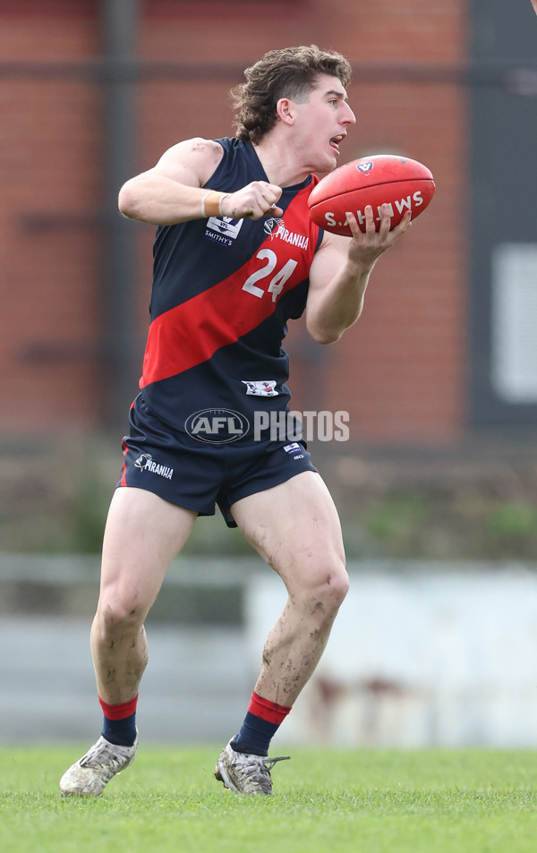 VFL 2024 Round 18 - Coburg v Frankston - A-52238956