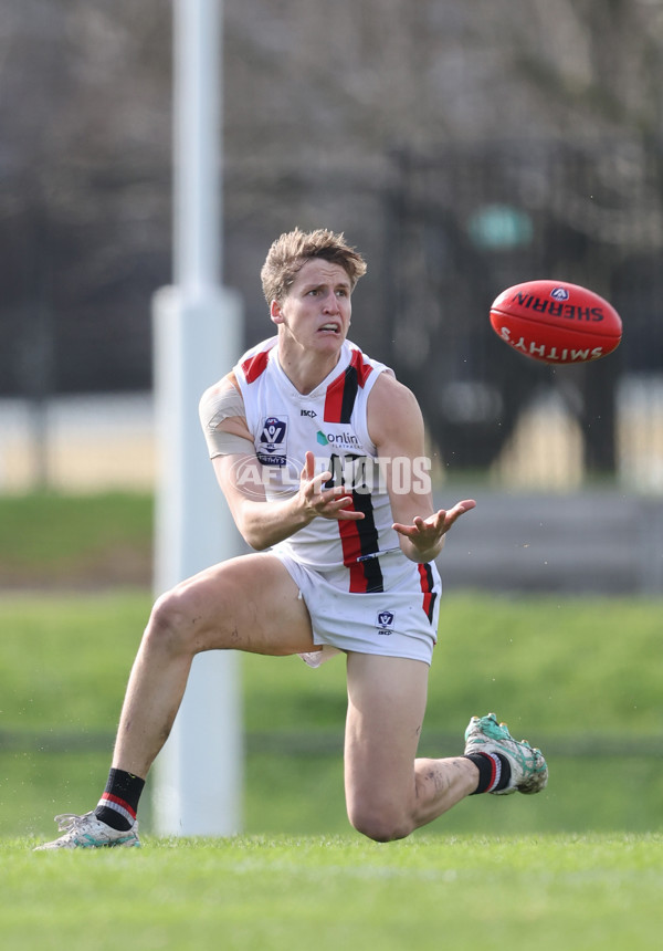 VFL 2024 Round 18 - Coburg v Frankston - A-52238957