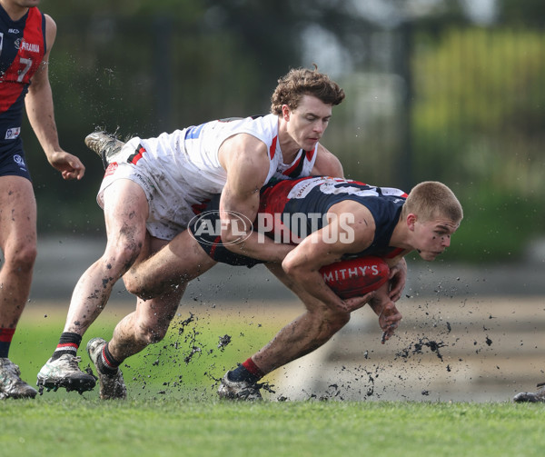 VFL 2024 Round 18 - Coburg v Frankston - A-52238959