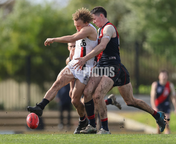 VFL 2024 Round 18 - Coburg v Frankston - A-52238961