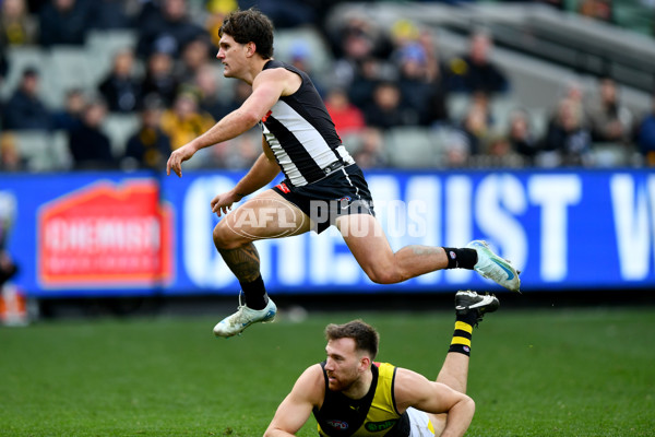 AFL 2024 Round 20 - Collingwood v Richmond - A-52240737