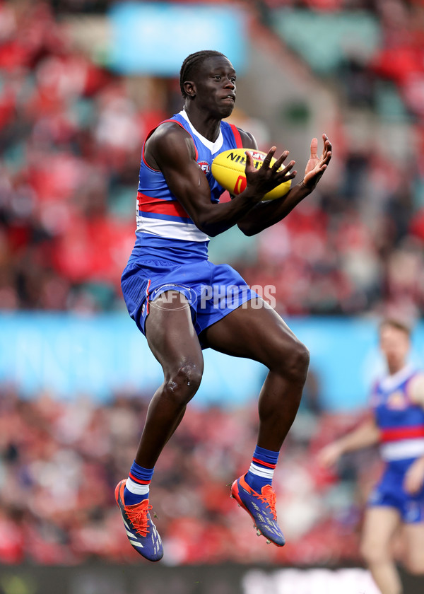 AFL 2024 Round 20 - Sydney v Western Bulldogs - A-52240741