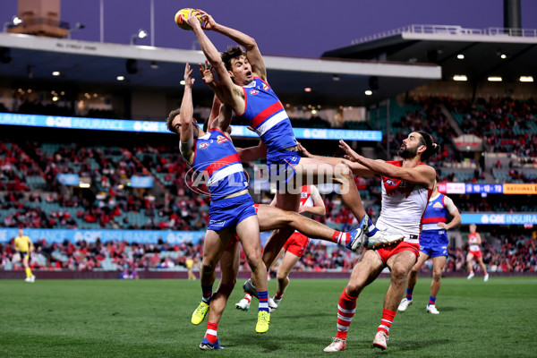 AFL 2024 Round 20 - Sydney v Western Bulldogs - A-52240764