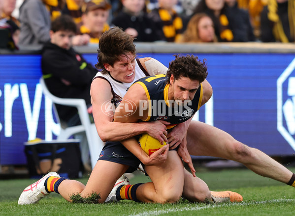 AFL 2024 Round 20 - Adelaide v Hawthorn - A-52240773