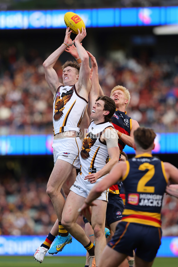 AFL 2024 Round 20 - Adelaide v Hawthorn - A-52240789