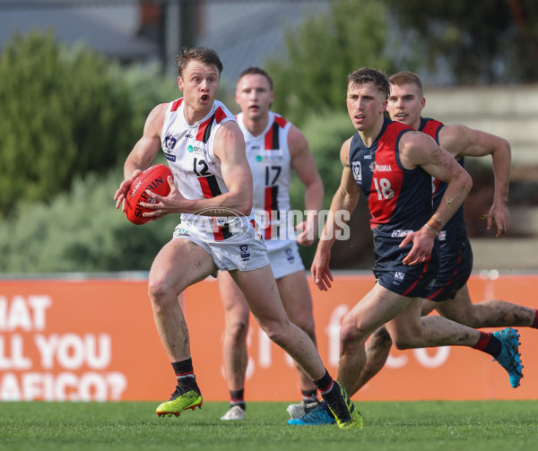 VFL 2024 Round 18 - Coburg v Frankston - A-52240817