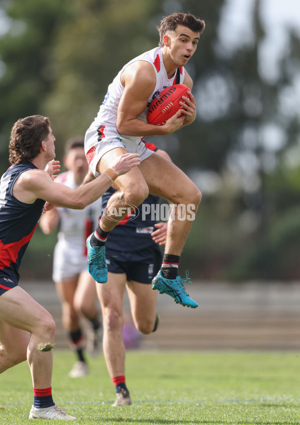 VFL 2024 Round 18 - Coburg v Frankston - A-52240821