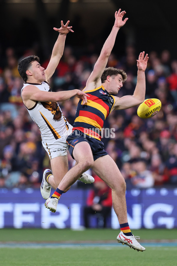 AFL 2024 Round 20 - Adelaide v Hawthorn - A-52240826