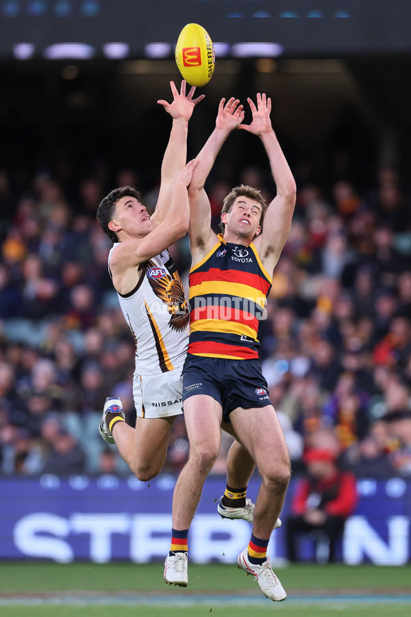 AFL 2024 Round 20 - Adelaide v Hawthorn - A-52240830