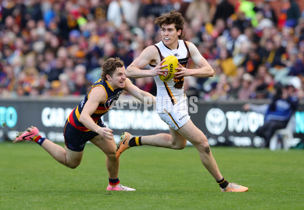 AFL 2024 Round 20 - Adelaide v Hawthorn - A-52241790