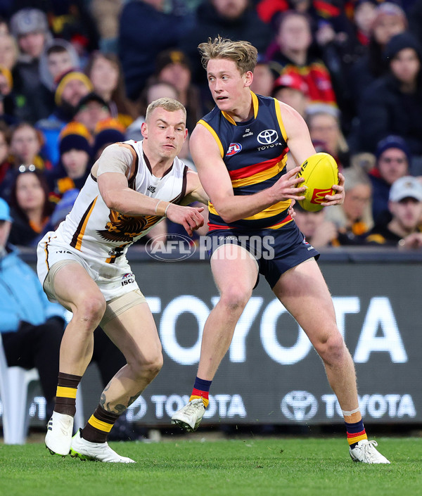 AFL 2024 Round 20 - Adelaide v Hawthorn - A-52241819