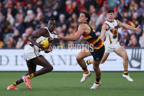 AFL 2024 Round 20 - Adelaide v Hawthorn - A-52241822