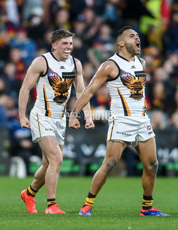 AFL 2024 Round 20 - Adelaide v Hawthorn - A-52241832