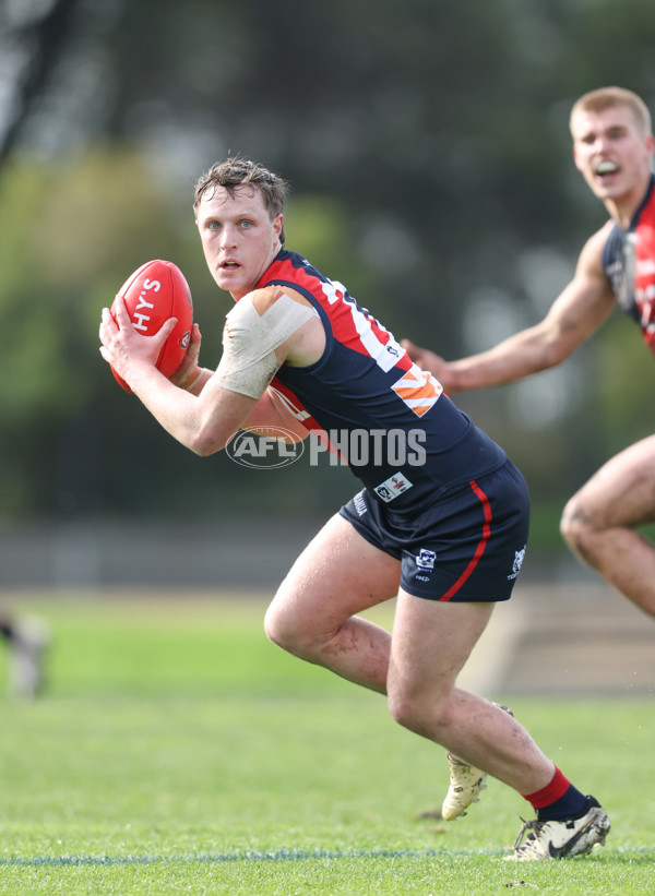 VFL 2024 Round 18 - Coburg v Frankston - A-52241842