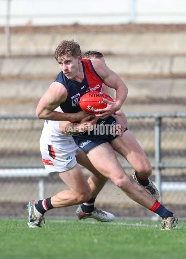 VFL 2024 Round 18 - Coburg v Frankston - A-52241843