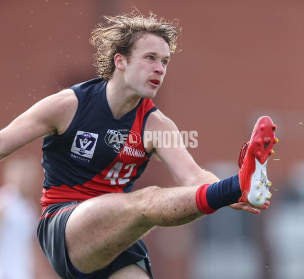 VFL 2024 Round 18 - Coburg v Frankston - A-52241845