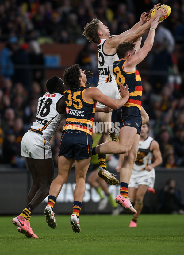 AFL 2024 Round 20 - Adelaide v Hawthorn - A-52243533