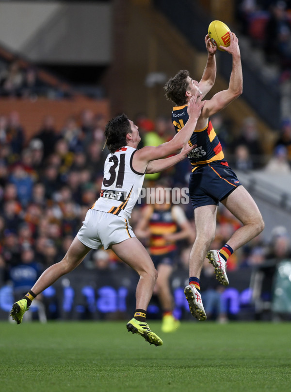 AFL 2024 Round 20 - Adelaide v Hawthorn - A-52243539