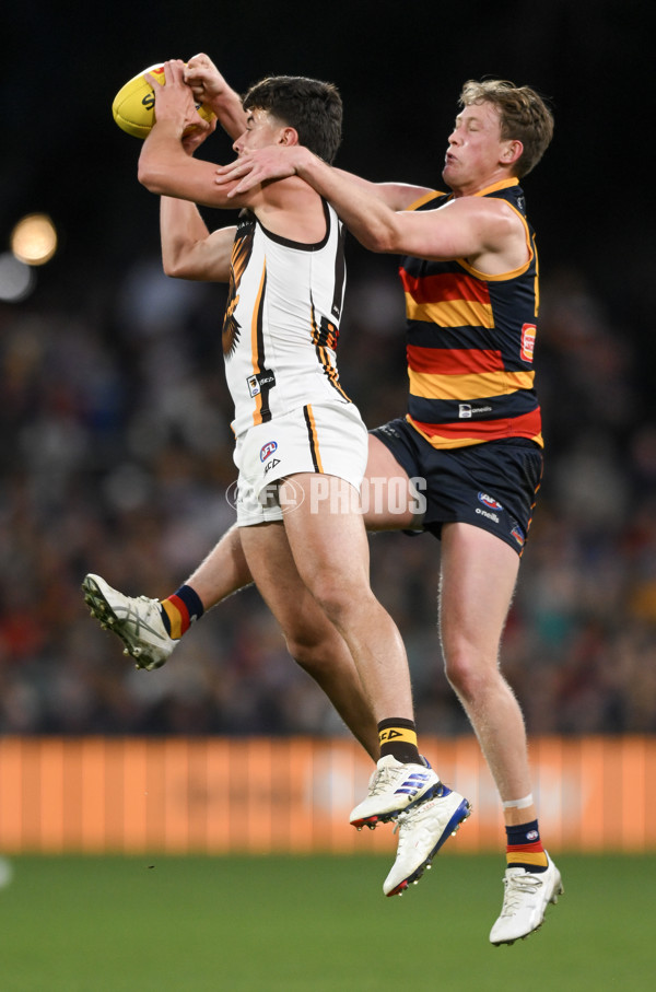 AFL 2024 Round 20 - Adelaide v Hawthorn - A-52243544