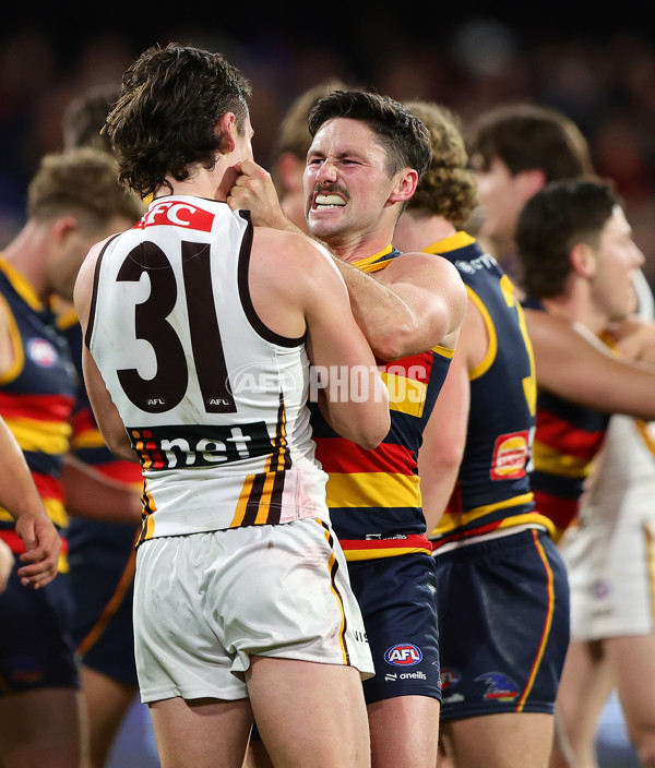 AFL 2024 Round 20 - Adelaide v Hawthorn - A-52243551