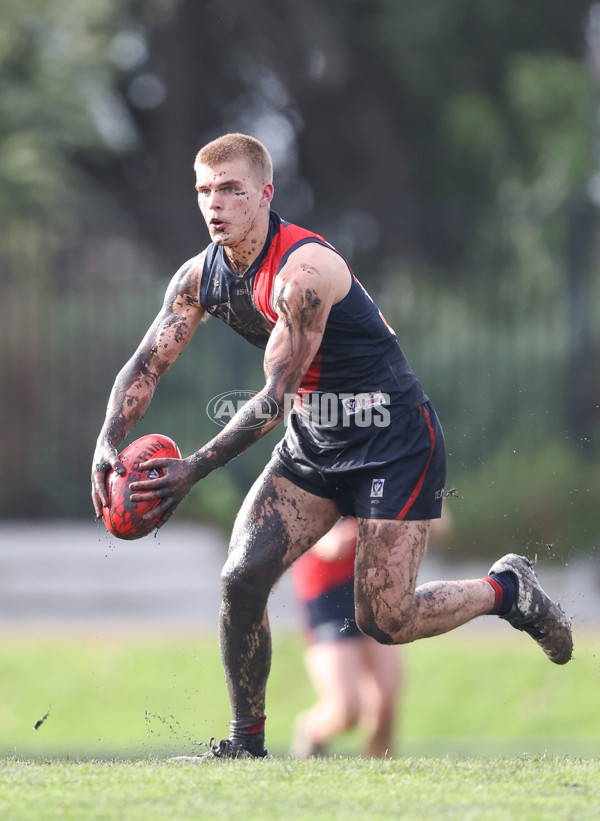 VFL 2024 Round 18 - Coburg v Frankston - A-52243556