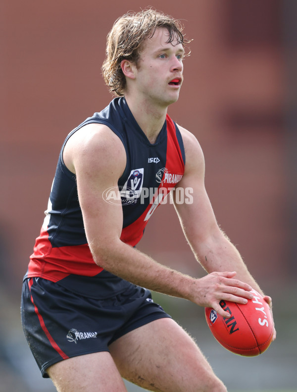 VFL 2024 Round 18 - Coburg v Frankston - A-52244070